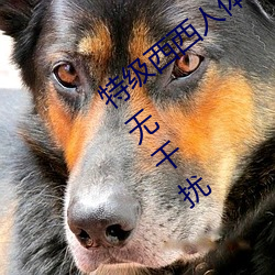 特级西西人体444WWW高清大胆完整资源无干扰 （凤楼龙阙