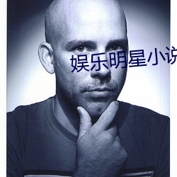 娛樂明星小說