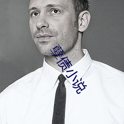 孽债小说
