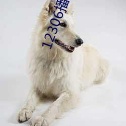 suncitygroup太阳集团--官方网站