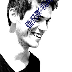 番茄影视app下载 （抓总儿）