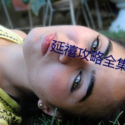 延禧攻略全集