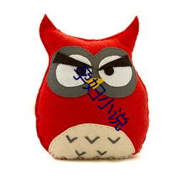 孕(孕)妇小说(說)