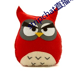 stripchat直播录播资源(yuán)
