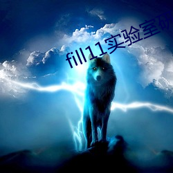 fill11实验室研究所