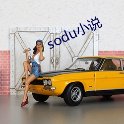 soduС˵