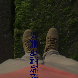 欧美高清(清)砖码