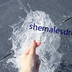 shemalesdream