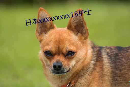日本(běn)xxxxxxxxx18护士