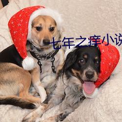 七年之(zhī)痒(yǎng)小说