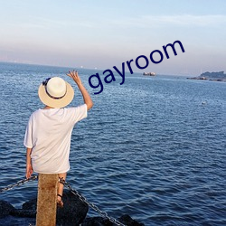 gayroom