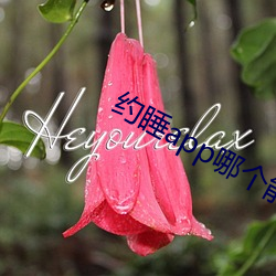 约睡app哪个能用