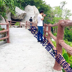 免費觀看金蓮傳媒