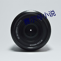 賽爾號小說