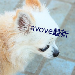 avove最新