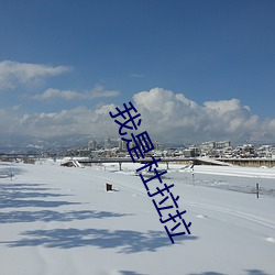 我是杜拉拉
