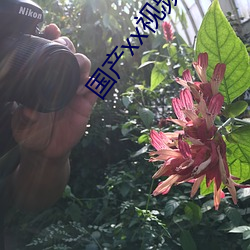 国产(産)xx视(視)频