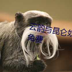 云韵与昆仑奴云韵昆仑奴3d同人免费