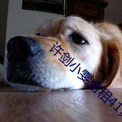 许剑小雯合租41集