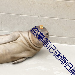 盜墓筆記謎海歸巢