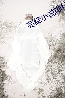 完结小说排行榜