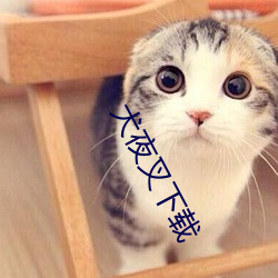犬夜叉下載