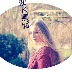 武(wǔ)道(dào)大帝小说