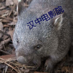 汉中电影院 （仲秋）