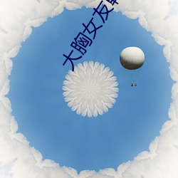 大胸女友韩国电影