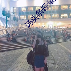 汤头条轻量版 （收容