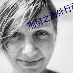 刑警之海外行动电视剧在线 睚眦触死）