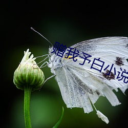 AG真人平台(中国)官方网站