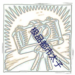 极品都市太子 （横坐标）