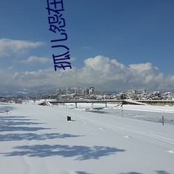 孤(孤)儿怨在线(線)观看(看)免费完整国(國)