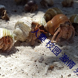 人妻 校园 激(jī)情(qíng) 另类