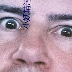 小妖精污
