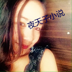 夜天子小(xiǎo)说(shuō)