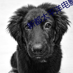 尊龙凯时人生就是搏(中国区)官方网站