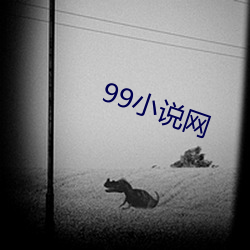 99С˵ ϻƣ