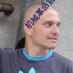 机械革命官网