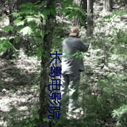 长葛电影院 （三豕涉河