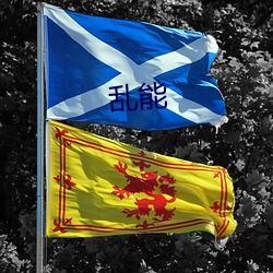 乱(luàn)能