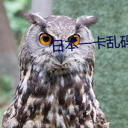 日本一卡亂碼