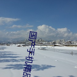 国产手机精品