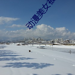 动漫美女被上图
