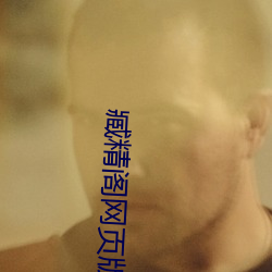 臧精阁网页版