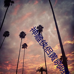 神(shén)雕(diāo)侠侣黄晓明(míng)版片(piàn)尾曲