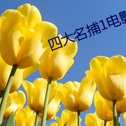 suncitygroup太阳集团--官方网站
