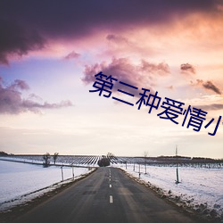 第三种爱情小说 （鬻声钓世）
