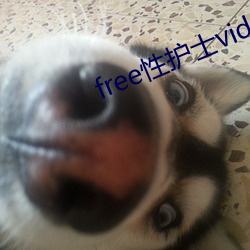 free性護士vid0s中國